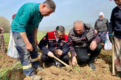 BALIKESİR’DE ÜRETİLEN ÇİÇEK SOĞANLARI DÜNYAYA AÇILIYOR