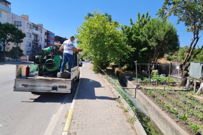 ALTIEYLÜL HAŞERELERE KARŞI İLAÇLANDI