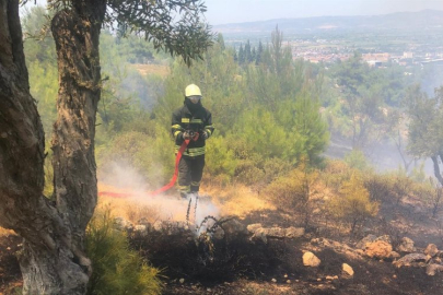 Manisa'da korkutan yangınlara Büyükşehir'den anında müdahale