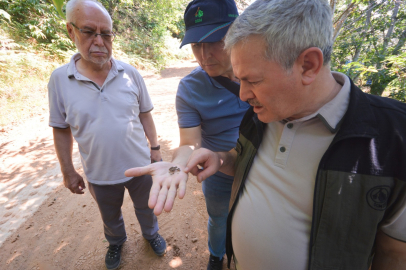 KIZILKAYA, BANDIRMA’DA SAHA ÇALIŞMALARINI İNCELEDİ