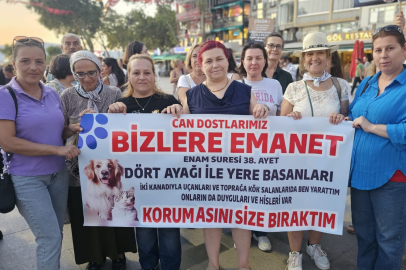 “AŞILA, KISIRLAŞTIR, YERİNE BIRAK”