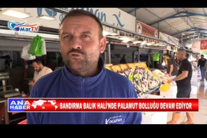 BANDIRMA BALIK HALİ'NDE PALAMUT BOLLUĞU DEVAM EDİYOR