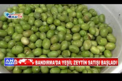 BANDIRMA’DA YEŞİL ZEYTİN SATIŞI BAŞLADI