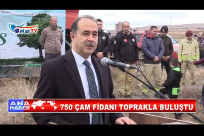 750 ÇAM FİDANI TOPRAKLA BULUŞTU