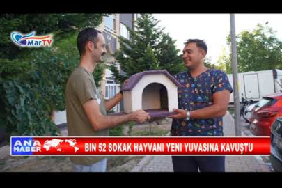 BIN 52 SOKAK HAYVANI YENI YUVASINA KAVUŞTU