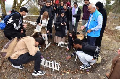 BAÜN BOTANİK BAHÇESİ'NDE İLK “SAFRAN” HASADI YAPILDI