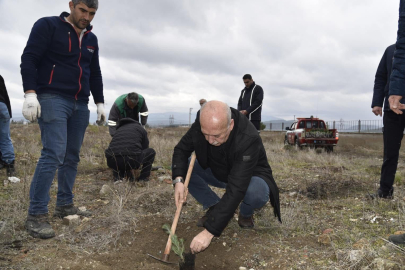 DURSUNBEY’DE HÜSEYİN MURAT UYSAL’IN ANISINA FİDANLAR TOPRAKLA BULUŞTURULDU