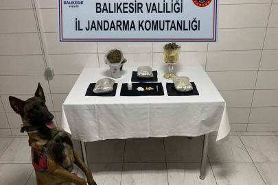 BALIKESİR'DE KAÇAKÇILIK VE ORGANİZE SUÇLARA DARBE