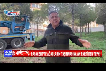 PAŞAKENT’TE AĞAÇLARIN TAŞINMASINA AK PARTİ’DEN TEPKİ